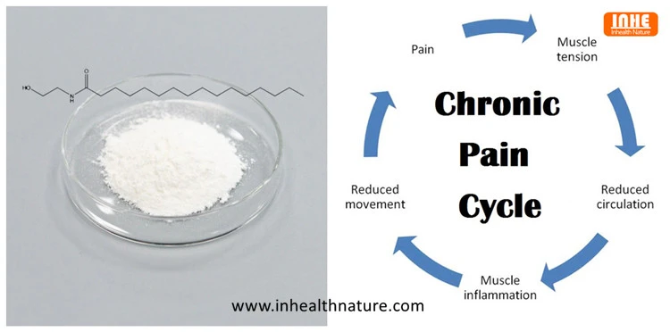 PEA Powder to Manage Chronic Pain and Inflammation
