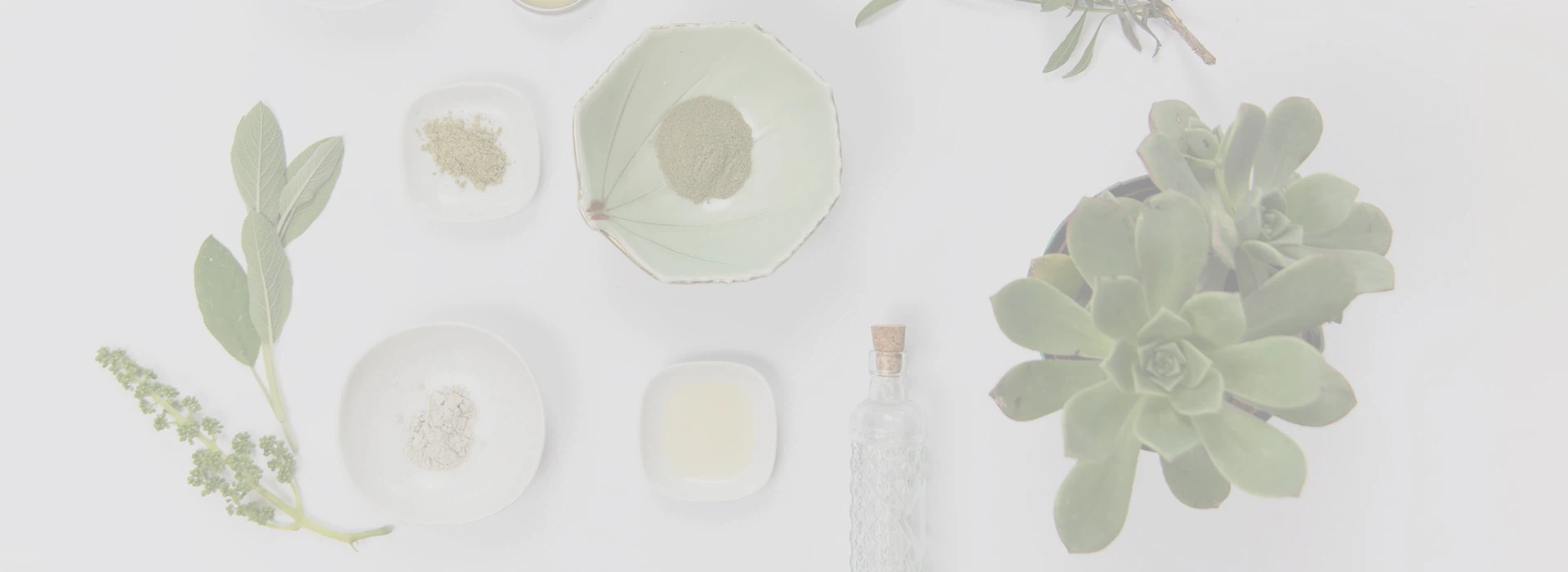 शानक्सी इनहेल्थ नेचर इंडस्ट्री कंपनी लिमिटेड