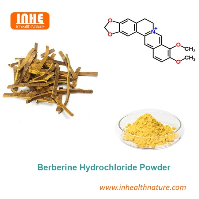 Berberine Hydrochloride Powder