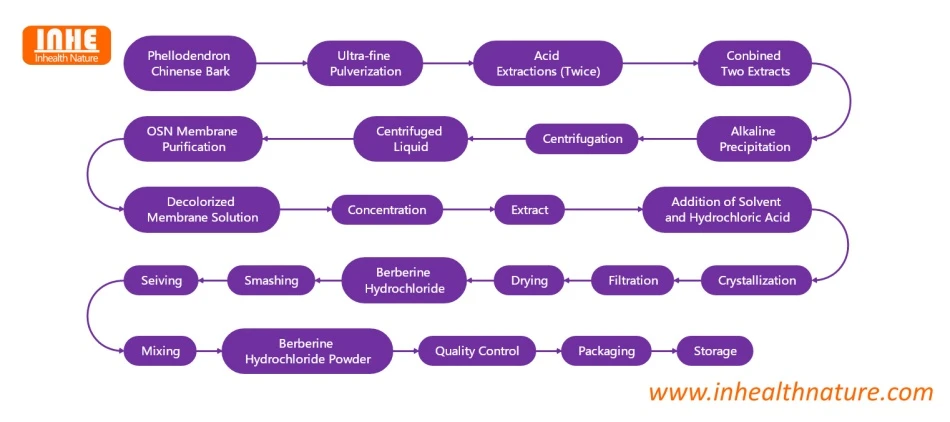 Berberine Hydrochloride Powder Flow Chart