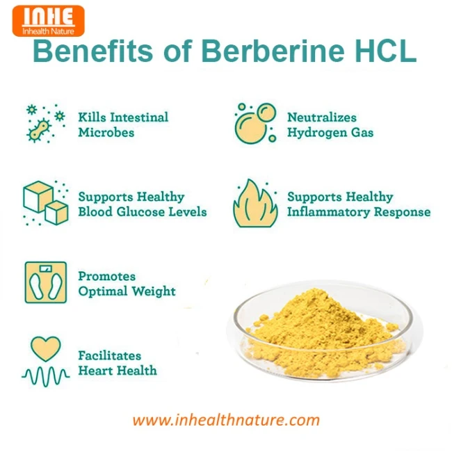 Benefits of Berberine Hydrochloride Powder