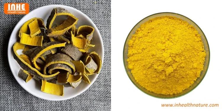 Phellodendron chinense Schneid and Berberine HCL Powder